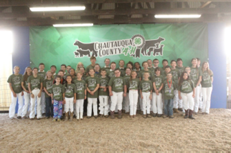 4-H dairy youth win awards at fair